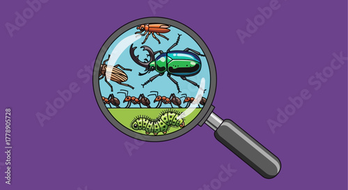 Insects under scrutiny: a magnified view of beetle, ants and caterpillars illustration