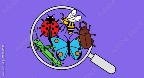 Cartoon insect investigation with magnifying glass depicting nature and science studying
