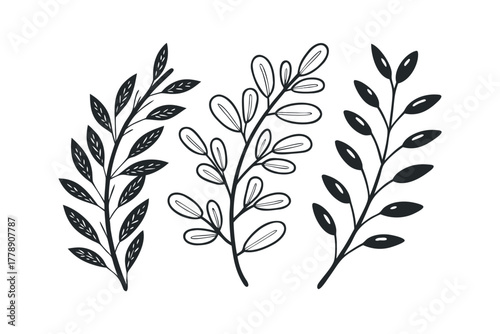 Monochrome Botanical Sprigs with Stylized Foliage