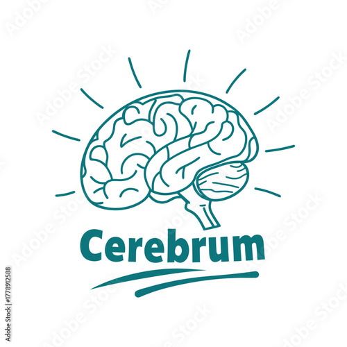 Brain Logo Design with Cerebrum Text Concept