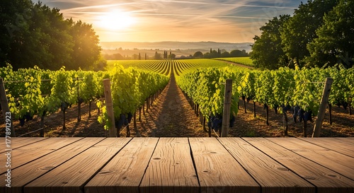 Vineyard at sunset with rows of grapevines and a wooden deck in the foreground.