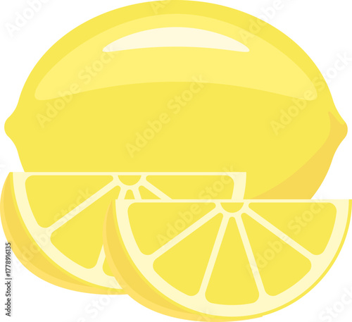 Fresh whole lemon and two juicy slices vector illustration on a clean white background