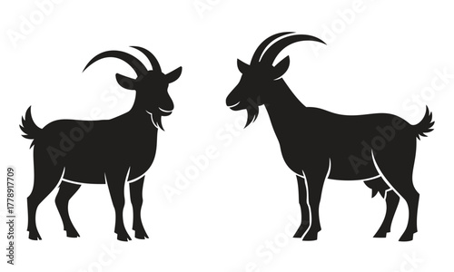 Male and female goats with horns and udders for farm animal, livestock, and agriculture design