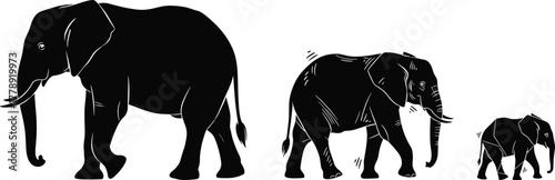 Wild elephant family silhouettes walking together African wildlife animal herd vector illustration with mother elephant and baby calf design