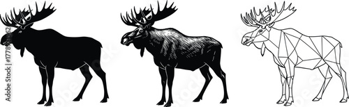 Powerful moose animal silhouettes detailed illustration and geometric polygon design wildlife nature vector art elk with antlers collection
