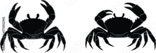 Two detailed crab vector illustrations with sharp claws and legs, perfect for marine wildlife art, seafood design, and ocean themes