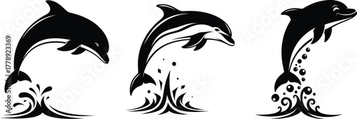 Three dolphin vector illustrations jumping out of ocean waves, perfect for marine life, aquatic animal, sea, and ocean-themed designs