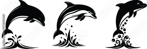 Fototapeta Three dolphin vector illustrations jumping out of ocean waves, perfect for marine life, aquatic animal, sea, and ocean-themed designs