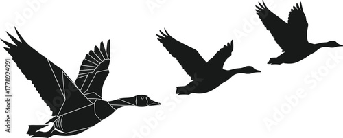 Silhouette illustration of flying ducks in motion across the sky, perfect for wildlife, bird migration, and nature vector design themes