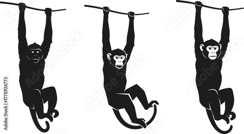 Hanging monkey silhouette vector illustration set showing different poses of jungle wildlife animal design for tropical nature and zoo art
