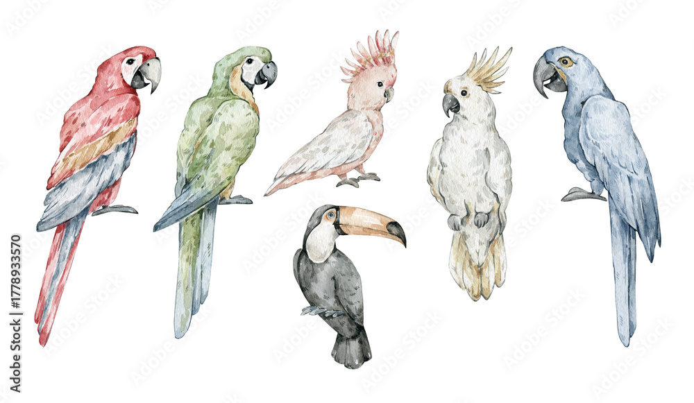 Fototapeta premium Watercolor set with tropical birds, parrots, toucans. Ara, macaw, exotic jungle birds.