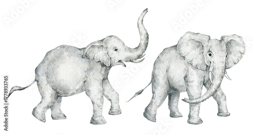 Photography Watercolor set with wild elephants