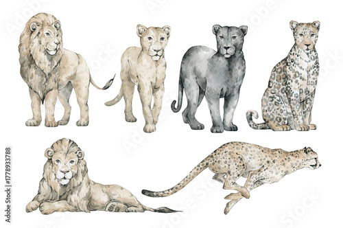 Photography Watercolor set with wild tropical animals