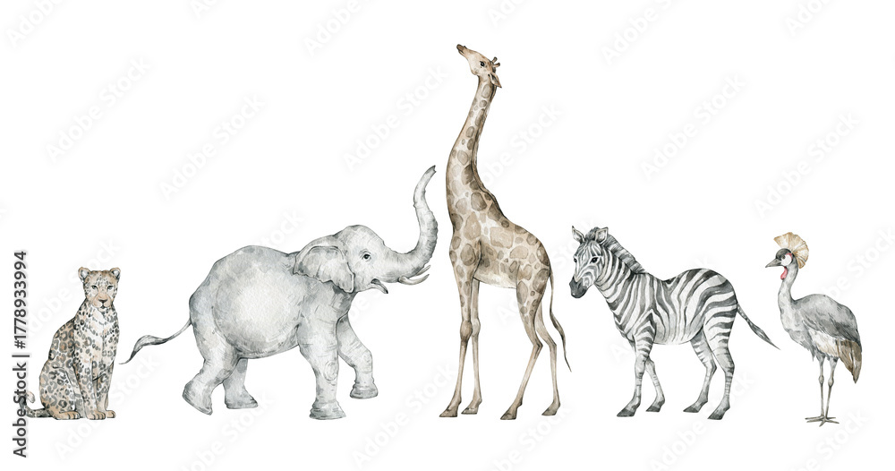 Obraz premium Watercolor set with wild savannah animals. Giraffe, elephant, zebra, leopard, crane. Cute safari wildlife animal