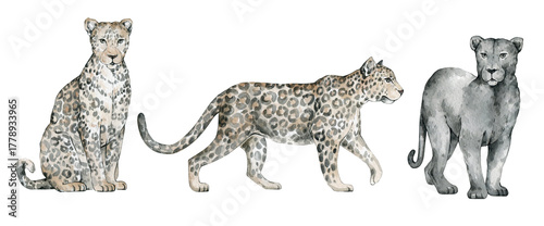 Photography Watercolor set with wild jungle animals