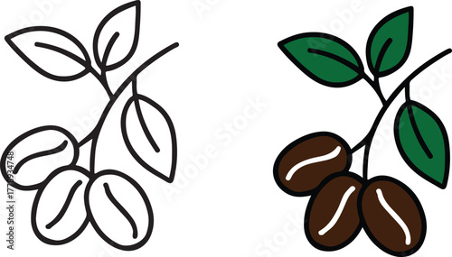 Coffee bean branch art vector illustration for cafe branding and design