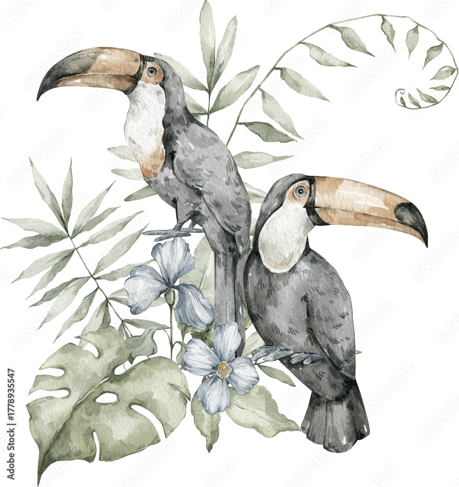 Obraz premium Watercolor toucan birds and tropical nature