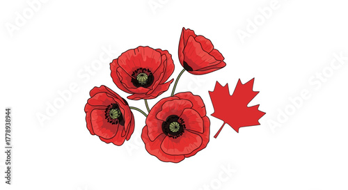 Red Poppies and Maple Leaf for Remembrance Day.