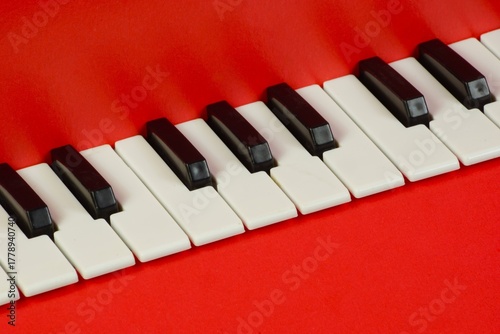 The keys of a musical instrument on a red backgroun
