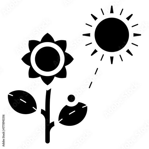 sunflower plant with sunshine glyph icon