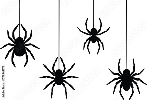 distinct spiders suspended on threads in varying sizes and poses silhouette vector