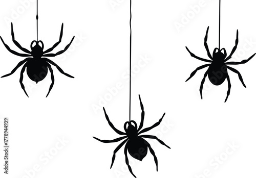 distinct spiders suspended on threads in varying sizes and poses