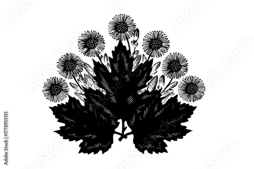 Nature's Palette: harmonious blend sassafras coltsfoot blooms | Clean, isolated vector art for creative projects.