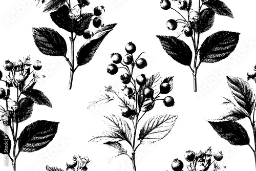 Elegant Herbal Bundle | Clean, isolated vector art for creative projects.