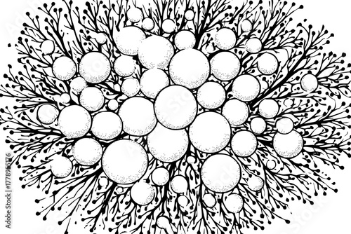 cluster puffball fungi heather sprigs | Clean, isolated vector art for creative projects.