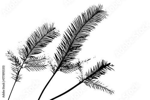 Timeless Tribute: Delicate Arrangement Branches Leaves | Clean, isolated vector art for creative projects.