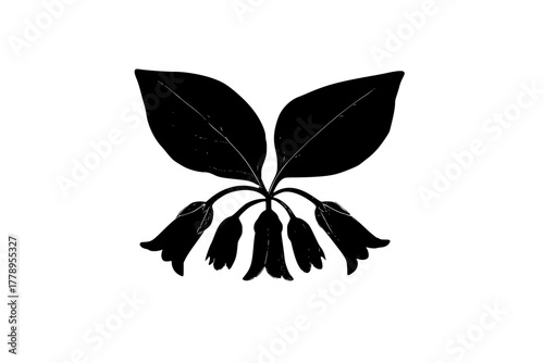 Elegant Herbs: Delicate Dance Comfrey Skullcap | Clean, isolated vector art for creative projects.