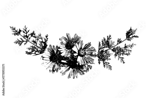 Elegant Floral Arrangement Black White | Clean, isolated vector art for creative projects.