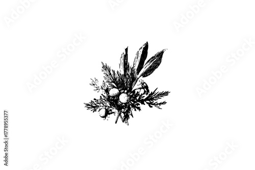 Nature's still life: harmonious bouquet chamomile fir twigs, capturing essence serenity. | Clean, isolated vector art for creative projects.