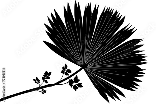 Silhouette Palm Frond | Clean, isolated vector art for creative projects.