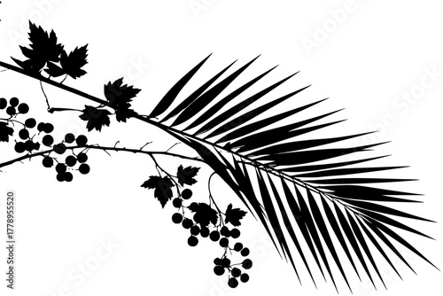 Black White Palm Frond Berries | Clean, isolated vector art for creative projects.