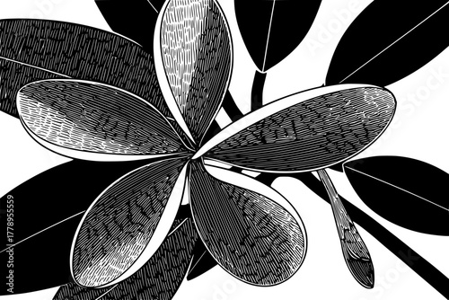 Black White Floral Blossom | Clean, isolated vector art for creative projects.