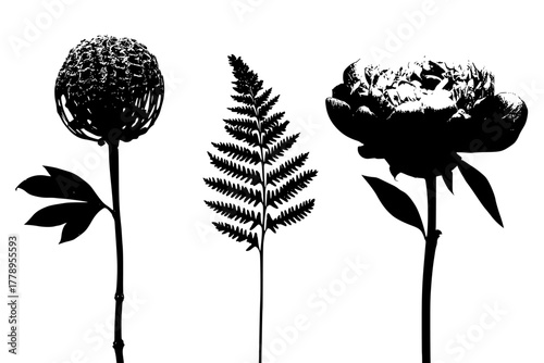 Floral Fusion: Symphony Three | Clean, isolated vector art for creative projects.