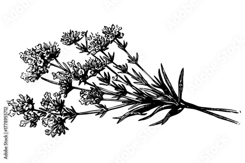 Botanical Bounty: Bouquet Wildflowers | Clean, isolated vector art for creative projects.