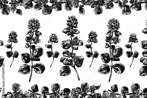 Elegant Herbs: Bouquet Oregano Clover Blossoms | Clean, isolated vector art for creative projects.