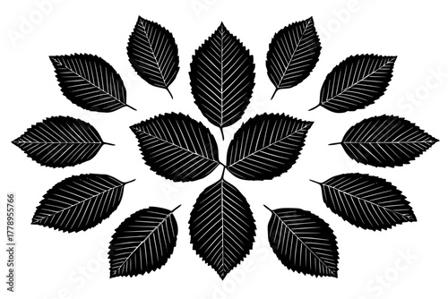 Whispering Woods: Collection Nature's Artistry | Clean, isolated vector art for creative projects.