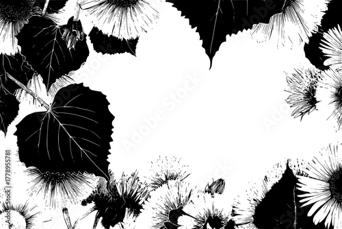 Whispers Nature: Symphony Linden Leaves Arnica Flowers Black White | Clean, isolated vector art for creative projects.