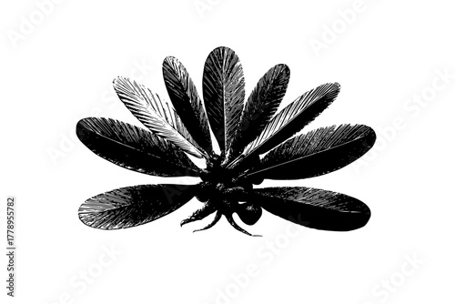 Silhouette maple seed wing pine needles | Clean, isolated vector art for creative projects.