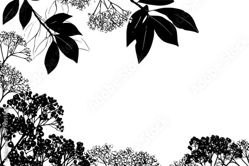 Monochromatic Forest Silhouette | Clean, isolated vector art for creative projects.