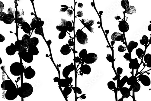 Chaenomeles Twigs Exochorda Sprigs: Tribute Spring | Clean, isolated vector art for creative projects.