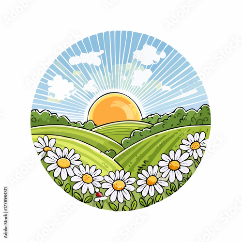 Late summer country landscape with daisies meadow and sunbeam