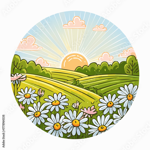 Late summer country landscape with daisies meadow and sunbeam