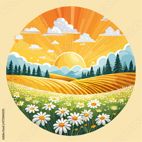 Late summer country landscape with daisies meadow and sunbeam