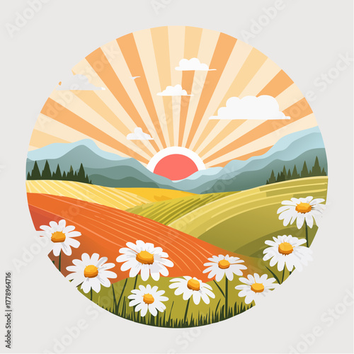 Late summer country landscape with daisies meadow and sunbeam