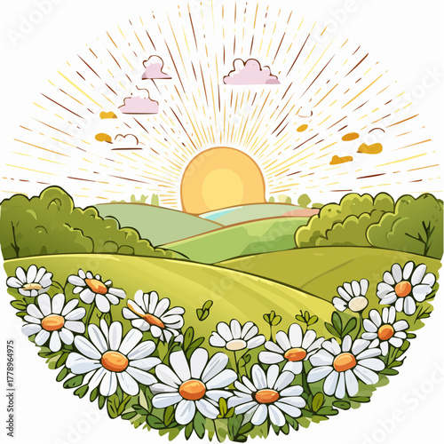 Late summer country landscape with daisies meadow and sunbeam