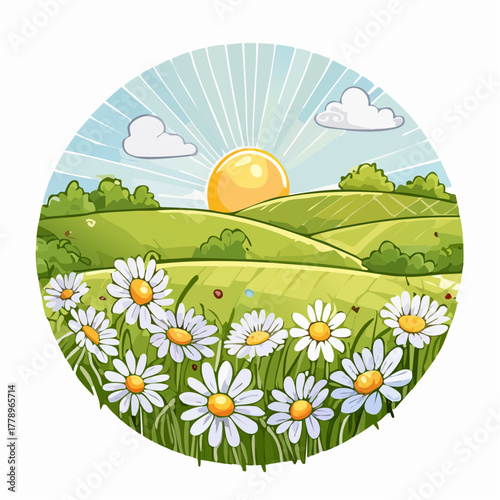 Late summer country landscape with daisies meadow and sunbeam